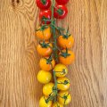 Look at this lovely rainbow of colours Its BTF20 this week and next, check out the britishtomatoes site and find loads of info and gorgeous recipes.